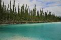 Oro-ile des pins (1)